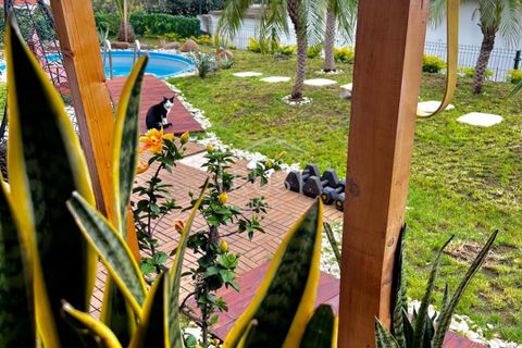 Landejendom i Gaula, Madeira, Gaula - € 195.000 | Ref: MOR010 - foto 3