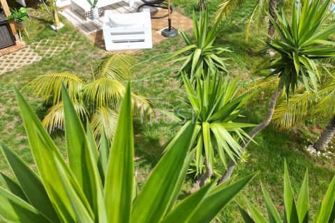 Landejendom i Gaula, Madeira, Gaula - € 195.000 | Ref: MOR010 - foto 7