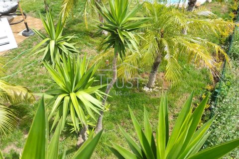 Landejendom i Gaula, Madeira, Gaula - € 195.000 | Ref: MOR010 - foto 13