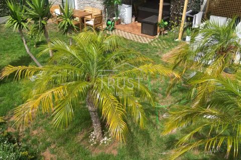 Landejendom i Gaula, Madeira, Gaula - € 195.000 | Ref: MOR010 - foto 15