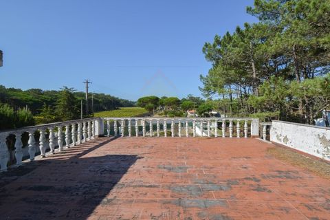 Villa i Almocageme, Lisbon, Almocageme - € 1.250.000 | Ref: HAB_104 - foto 15