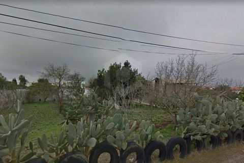 Helårsgrund i Quinta do Anjo, Setubal, Quinta do Anjo - € 400.000 | Ref: PH2782 - foto 2