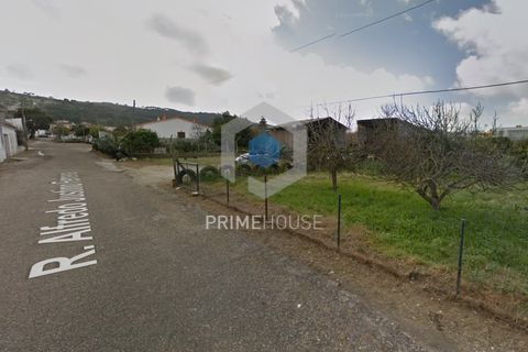 Helårsgrund i Quinta do Anjo, Setubal, Quinta do Anjo - € 400.000 | Ref: PH2782 - foto 4