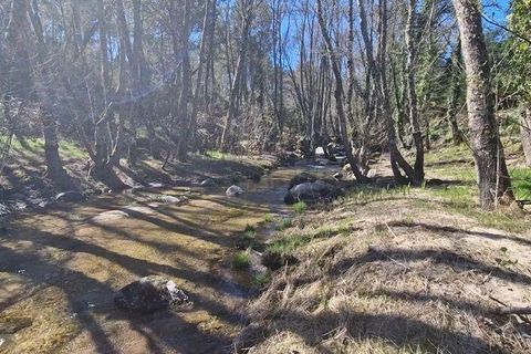 Byhus i Sernancelhe, Viseu, Sernancelhe - € 400.000 | Ref: 99228 - foto 18
