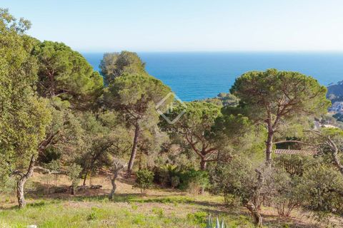 Helårsgrund i Tossa De Mar, Gerona, Tossa De Mar - € 950.000 | Ref: CBR10315 - foto 4