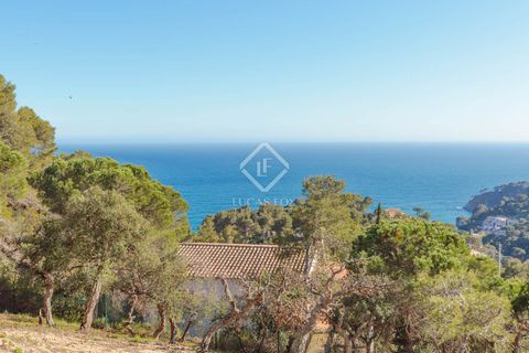 Helårsgrund i Tossa De Mar, Gerona, Tossa De Mar - € 950.000 | Ref: CBR10315 - foto 5