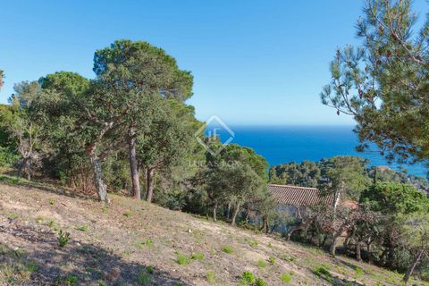 Helårsgrund i Tossa De Mar, Gerona, Tossa De Mar - € 950.000 | Ref: CBR10315 - foto 7