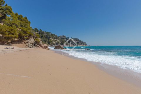 Helårsgrund i Tossa De Mar, Gerona, Tossa De Mar - € 950.000 | Ref: CBR10315 - foto 12