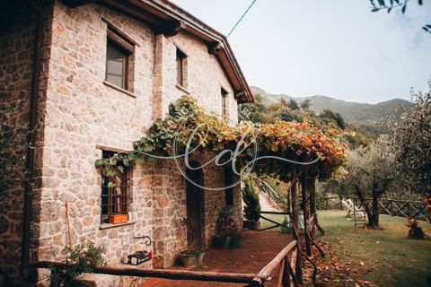 Villa a Camaiore, Lucca, Camaiore - € 900/mes | Ref: 2013 - foto 29
