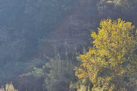 Villa i Ventimiglia, Imperia, Ventimiglia - € 28.000 | Ref: 22520 - foto 4