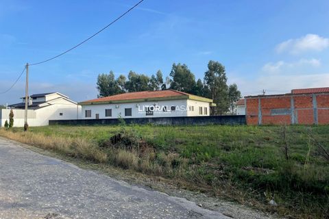 Helårsgrund i Agueda, Aveiro, Agueda - € 159.000 | Ref: VEN-3776 - foto 6