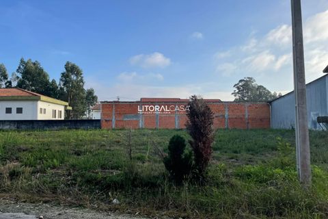 Helårsgrund i Agueda, Aveiro, Agueda - € 159.000 | Ref: VEN-3776 - foto 7
