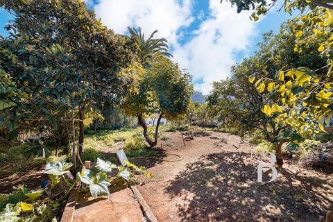 Villa a Teror, Gran Canaria, Teror - € 550.000 | Ref: CHA0106 - foto 8