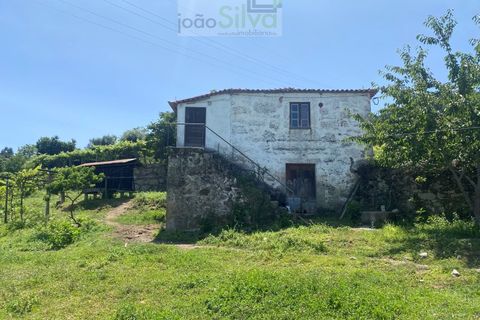 Farm i Ponte de Lima, Viana do Castelo, Ponte de Lima - € 265.000 | Ref: VIL_1803 - foto 4