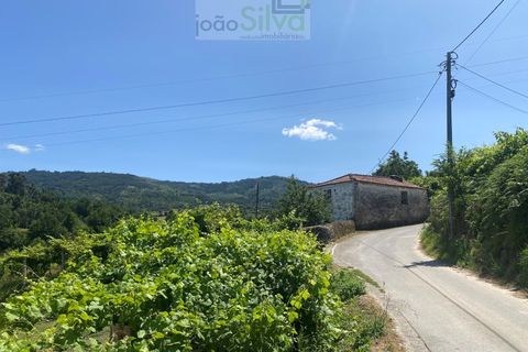 Farm i Ponte de Lima, Viana do Castelo, Ponte de Lima - € 265.000 | Ref: VIL_1803 - foto 5