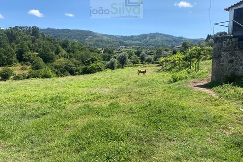 Farm i Ponte de Lima, Viana do Castelo, Ponte de Lima - € 265.000 | Ref: VIL_1803 - foto 6
