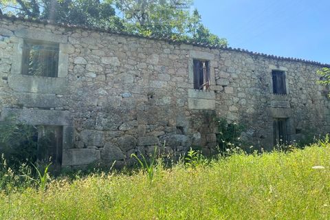 Farm i Ponte de Lima, Viana do Castelo, Ponte de Lima - € 265.000 | Ref: VIL_1803 - foto 7