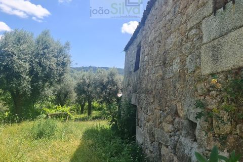 Farm i Ponte de Lima, Viana do Castelo, Ponte de Lima - € 265.000 | Ref: VIL_1803 - foto 8