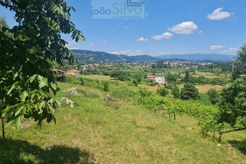 Farm i Ponte de Lima, Viana do Castelo, Ponte de Lima - € 265.000 | Ref: VIL_1803 - foto 10