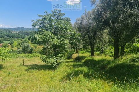 Farm i Ponte de Lima, Viana do Castelo, Ponte de Lima - € 265.000 | Ref: VIL_1803 - foto 14