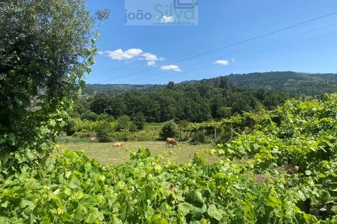 Farm i Ponte de Lima, Viana do Castelo, Ponte de Lima - € 265.000 | Ref: VIL_1803 - foto 15