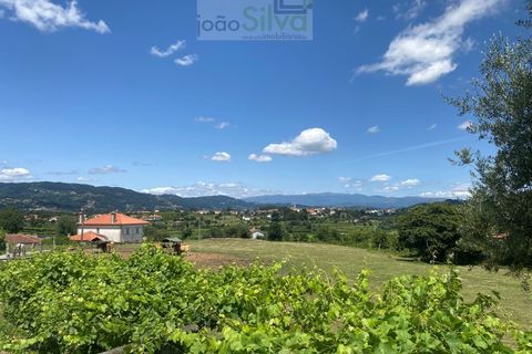Farm i Ponte de Lima, Viana do Castelo, Ponte de Lima - € 265.000 | Ref: VIL_1803 - foto 16