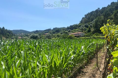 Farm i Ponte de Lima, Viana do Castelo, Ponte de Lima - € 265.000 | Ref: VIL_1803 - foto 17