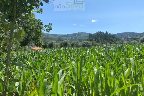 Farm i Ponte de Lima, Viana do Castelo, Ponte de Lima - € 265.000 | Ref: VIL_1803 - foto 18