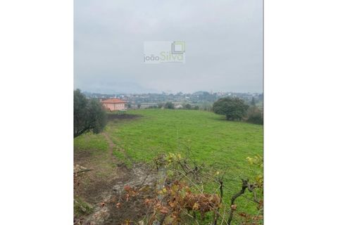 Farm i Ponte de Lima, Viana do Castelo, Ponte de Lima - € 265.000 | Ref: VIL_1803 - foto 19