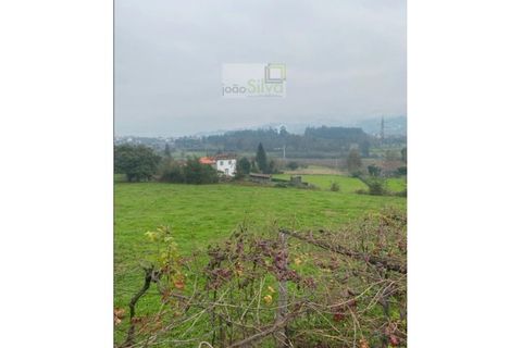 Farm i Ponte de Lima, Viana do Castelo, Ponte de Lima - € 265.000 | Ref: VIL_1803 - foto 20