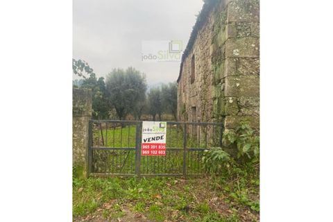 Farm i Ponte de Lima, Viana do Castelo, Ponte de Lima - € 265.000 | Ref: VIL_1803 - foto 21