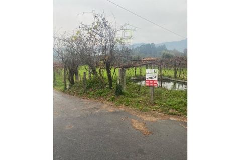 Farm i Ponte de Lima, Viana do Castelo, Ponte de Lima - € 265.000 | Ref: VIL_1803 - foto 22