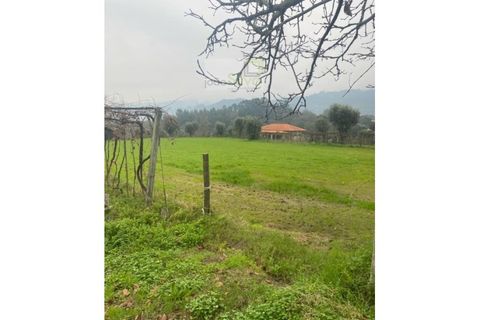 Farm i Ponte de Lima, Viana do Castelo, Ponte de Lima - € 265.000 | Ref: VIL_1803 - foto 23