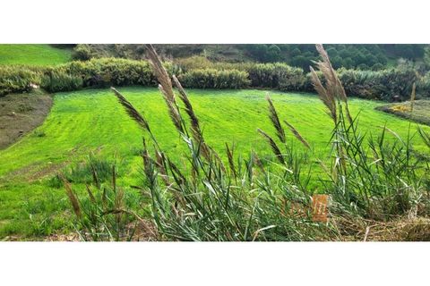 Helårsgrund i Mafra, Lisbon, Mafra - € 80.000 | Ref: 9055FV - foto 11