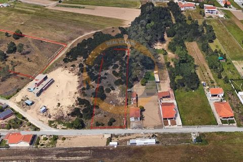 Helårsgrund i Ovar, Aveiro, Ovar - € 110.000 | Ref: T/0805 - foto 3