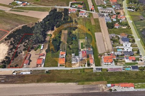 Helårsgrund i Ovar, Aveiro, Ovar - € 110.000 | Ref: T/0805 - foto 4