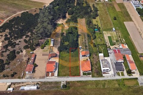 Helårsgrund i Ovar, Aveiro, Ovar - € 55.000 | Ref: T/0804 (1) - foto 4