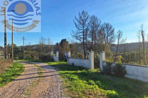 Helårsgrund i Ourem, Santarem, Ourem - € 17.000 | Ref: TER_688 - foto 2