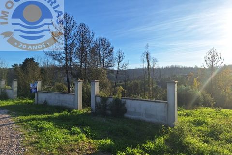Helårsgrund i Ourem, Santarem, Ourem - € 17.000 | Ref: TER_688 - foto 3