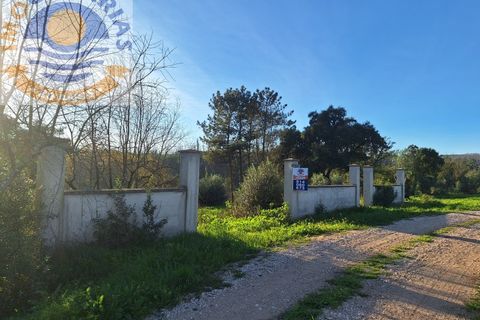 Helårsgrund i Ourem, Santarem, Ourem - € 17.000 | Ref: TER_688 - foto 5