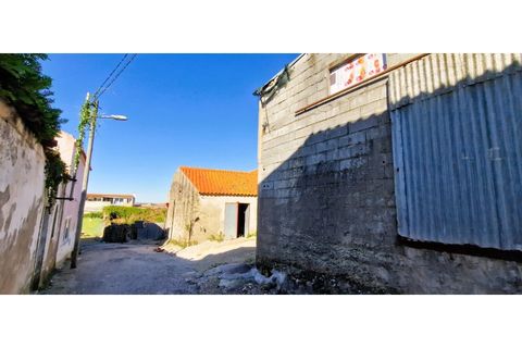 Villa i Alcobaca, Leiria, Alcobaca - € 21.000 | Ref: CAS_778 - foto 7