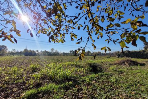 Helårsgrund i Padua, Padua, Padua - € 60.000 | Ref: P2 - foto 1