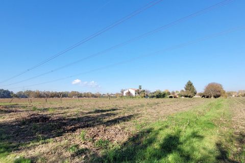 Helårsgrund i Padua, Padua, Padua - € 60.000 | Ref: P2 - foto 3