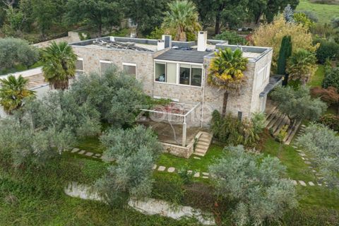 Villa i Chaves, Vila Real, Chaves - € 1.500.000 | Ref: ZMPT562496 - foto 44