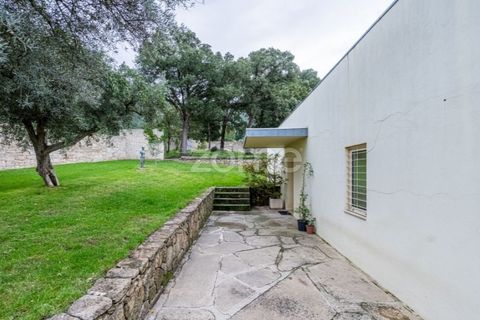 Villa i Chaves, Vila Real, Chaves - € 1.500.000 | Ref: ZMPT562496 - foto 50
