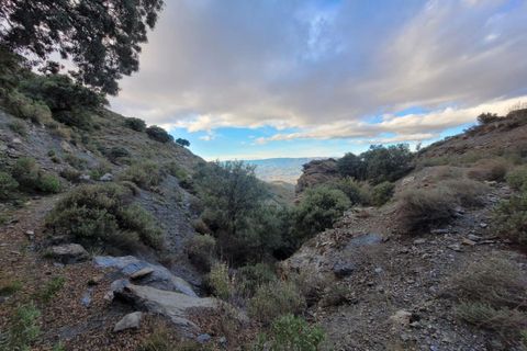 Herregård i Tabernas, Almeria, Tabernas - € 615 000 | Ref: TAB362 - foto 43