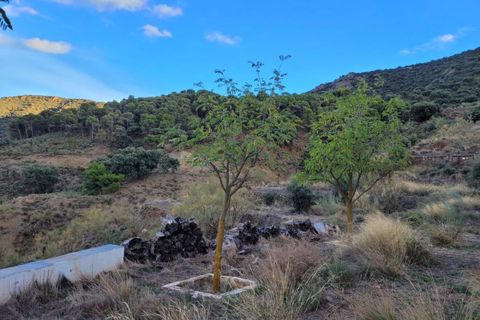 Herregård i Tabernas, Almeria, Tabernas - € 615 000 | Ref: TAB362 - foto 47
