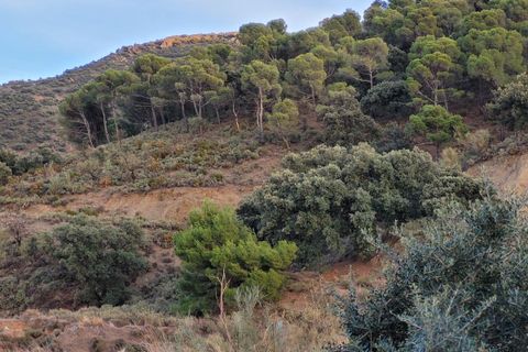 Herregård i Tabernas, Almeria, Tabernas - € 615 000 | Ref: TAB362 - foto 49