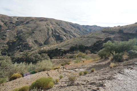 Finca i Almegijar, Granada, Almegijar - € 350.000 | Ref: ALMC526 - foto 48