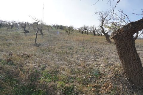 Finca i Almegijar, Granada, Almegijar - € 350.000 | Ref: ALMC526 - foto 45